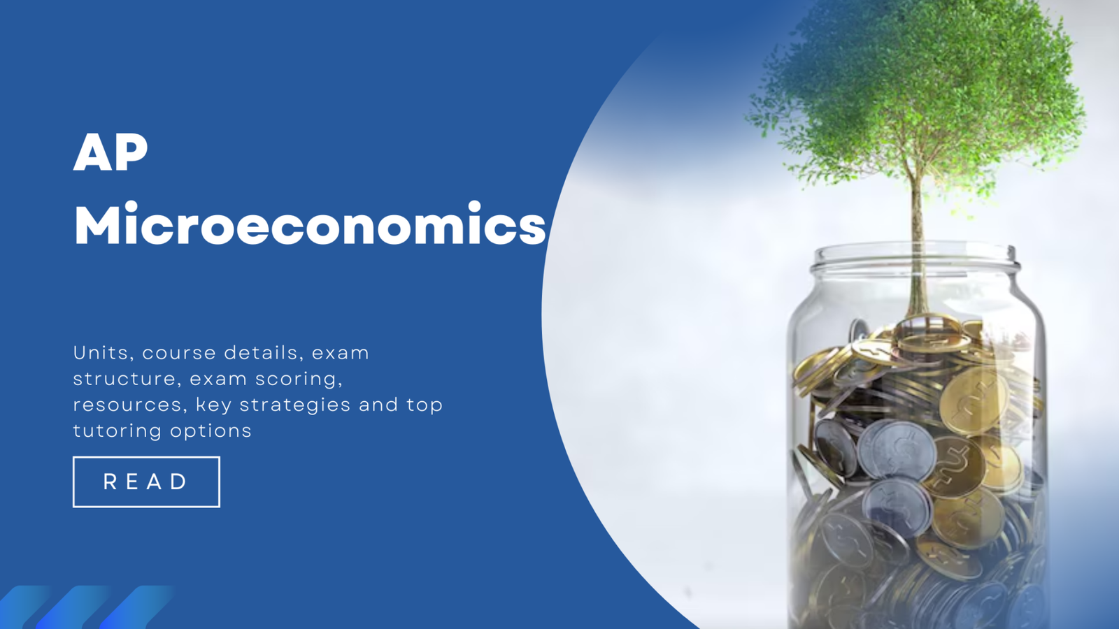 Mastering AP Microeconomics Exam: Your Guide to Success